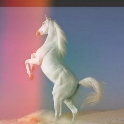 4mgulam's profile picture. Gulam Jilani. Md