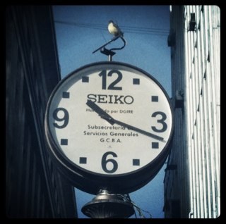 gonzalotw's profile picture. Nadie espera a la inquisición española!