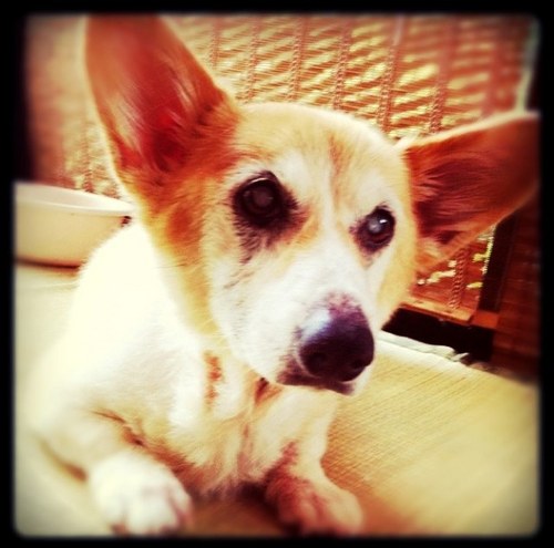 mnmn_0114's profile picture. 