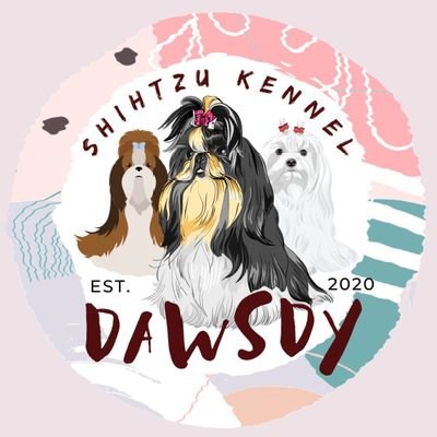 Welcome to the our Twitter's family of
Dawsdy Shihtzu Kennel by @therealameld ✨ Breeder of Pure Imperial Breed & Standart Shih-Tzu est. 2020