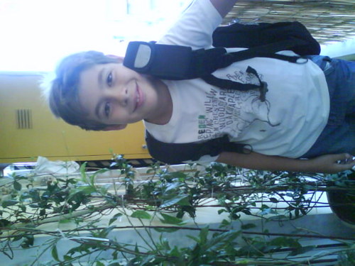 Picture
