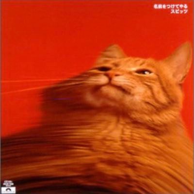 とーりんさんのプロフィール画像