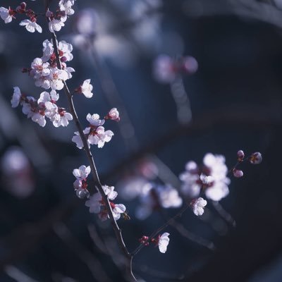 babymtjj's profile picture. 정대현 | 120126 ~ | 151115 | 王一博