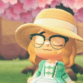 🌊 @caemiel's Animal Crossing: New Horizons side account 🌊