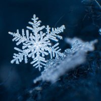 snowflake ❄️ (@snowflakepixels) 's Twitter Profile