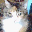 Deborah Crow - @GretchensSlave - Twitter