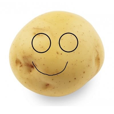 potato_donald Profile Picture