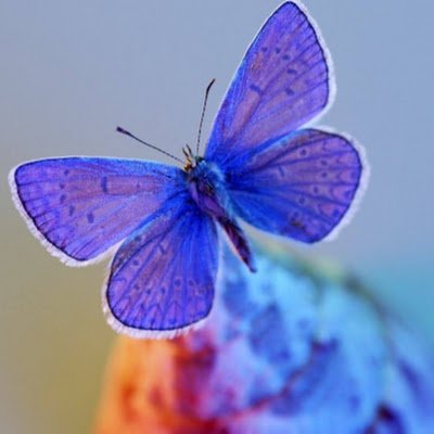 MouaMi6399's profile picture. Soif de savoir