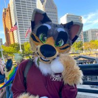 RC (@rc_the_fur) 's Twitter Profile Photo RC (@rc_the_fur) 's Twitter Profile Photo