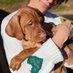 Perino Vizsla Fan Club (@jasper_fanclub) Twitter profile photo Perino Vizsla Fan Club (@jasper_fanclub) Twitter profile photo