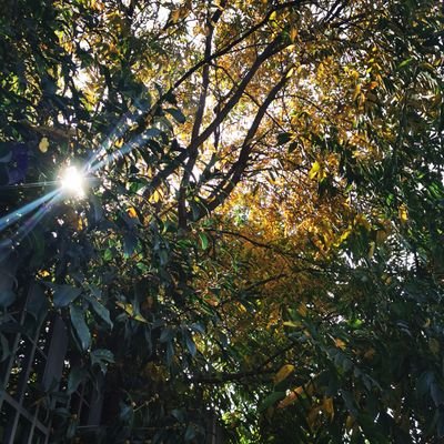 lixijie1997GXJ's profile picture. 