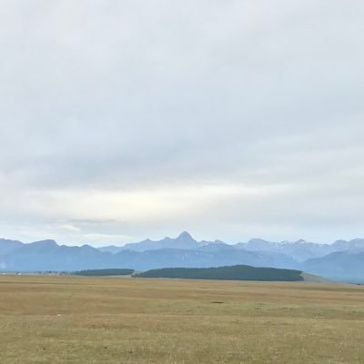 h_uulyn's profile picture. Уул бүхэн амьтай ус бүхэн эзэнтэй