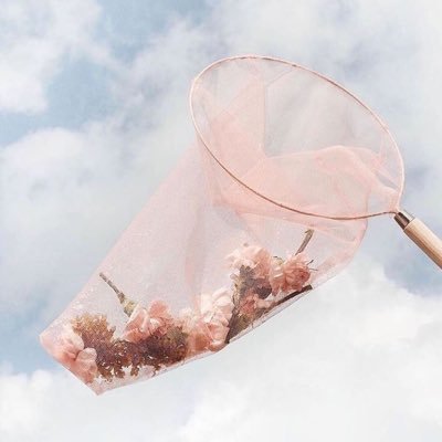 at49484712's profile picture. 