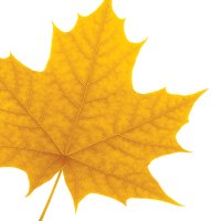 Laurier ChemBiochem (@wluchembiochem) 's Twitter Profile Photo Laurier ChemBiochem (@wluchembiochem) 's Twitter Profile Photo