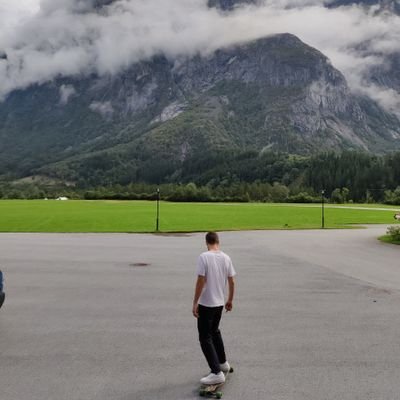 Gdisarra's profile picture. Interested in computational neuroscience 🧠 and complex systems 🥏🍹