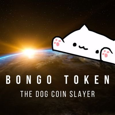 $BONGOCAT is a cutesy token inspired and run by the Bongocat community on the Binance Smart Chain.
Token has deflationary properties and 2% reflection per Tx.