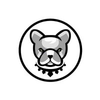 pitbulll coin (@pitbullllllls) Twitter profile photo