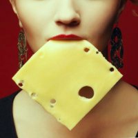 Emotional Support Cheese(@Emotionalcheese) 's Twitter Profile Photo