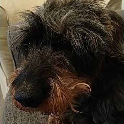 Cryptoff45's profile picture. Rien à dire, tout à gagner. 💰