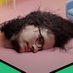 dylan (@slothfella) Twitter profile photo dylan (@slothfella) Twitter profile photo