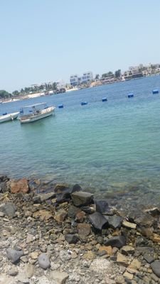 nenomahammad2's profile picture. ..