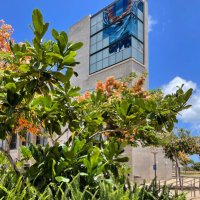 UH West Oʻahu Library(@UHWOLibrary) 's Twitter Profileg