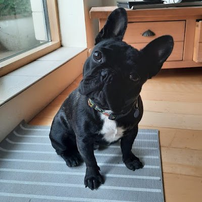 byrnepb1909's profile picture. 