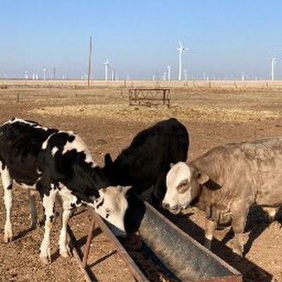 WeezathegreatK's profile picture. 