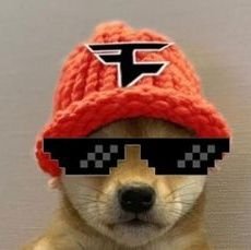 FeIix4948's profile picture. Hello everyone