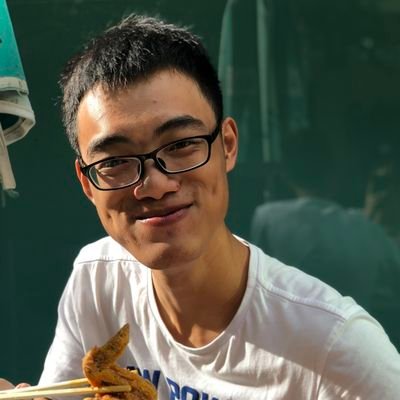 Tao Lin Profile