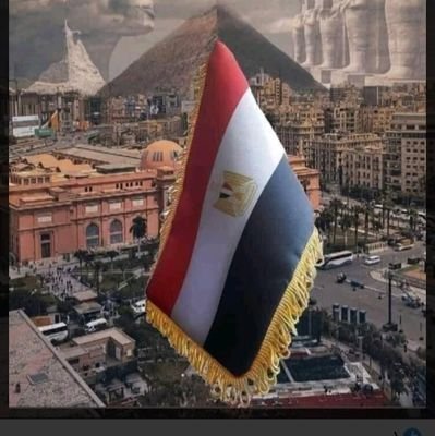 881Mohamed's profile picture. 