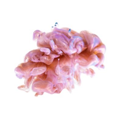 themeltingbrain's profile picture. I am a brain. That is melting. From ontological shock.