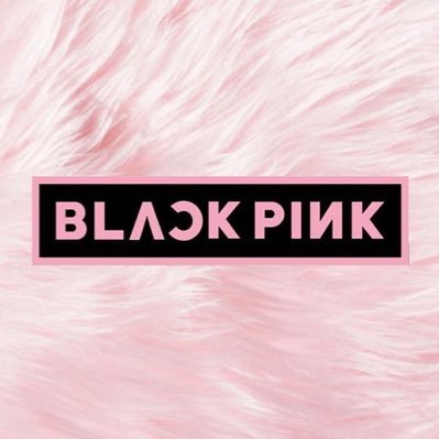 Hello we are Blackpink! @tinypinkforests @lxverbby @totomoroll @dolliefilmz