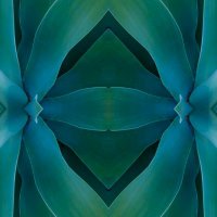 Simons Collaboration Extreme Wave Phenomena (@simons_wave_lab) 's Twitter Profile