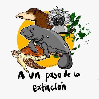 Estudiantes del programa de biología UEB 🐊🐋🦅🦥🐸💐🌿🌾
Publicamos contenido con relación a nuestra área de profundo interés: la biología 💚
No te lo pierdas!