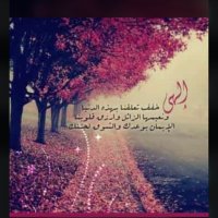 Eagle Eye (@binhamroor) 's Twitter Profile