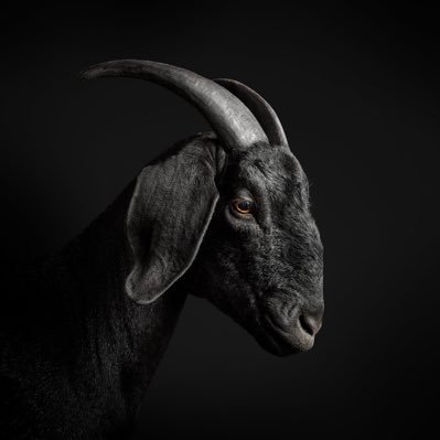 With the same power, winner is who uses it right time.
They and i just like Seven.
Cr7 goat.