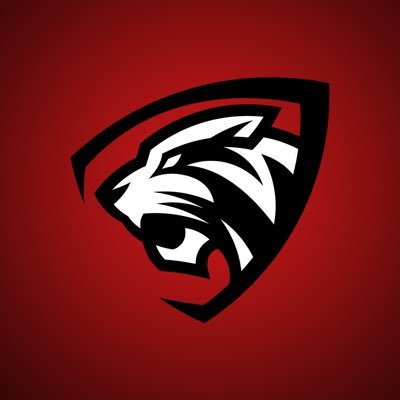 Equipo de Esport • League of Legends • TFT • Valorant