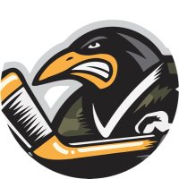Pittsburgh Warriors Hockey (@pghwarriors) 's Twitter Profile