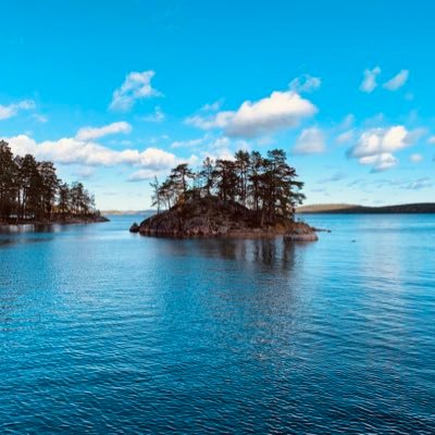 Victoria_Anna_'s profile picture. Mensch, Mutter, Feministin, 🇸🇪🇨🇭, liebe Tiere & Natur 🐈🐈‍⬛ 🌸🌿, #ProtectTheKids