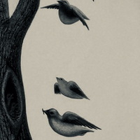 tooverflowevidence後藤 (@gogogochang) Twitter profile photo