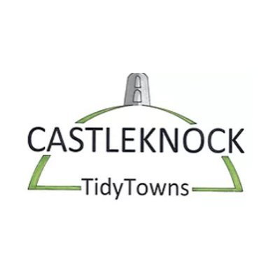 TidyCastleknock Profile Picture