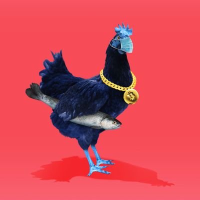 Cryptocurrency enthusiast.                                             
NFT believer .