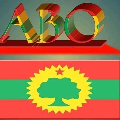 I am oromo wbo