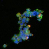 House Lab at SDSU (@the_house_lab) 's Twitter Profile Photo