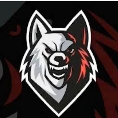 brody_tgg's profile picture. 