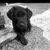 Ann Masterson (@annmasterson6) Twitter profile photo Ann Masterson (@annmasterson6) Twitter profile photo