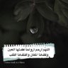 nadidu_256's profile picture. مابين الأدب و #علم_المعلومات |
اللهم اشفي مرضانا وارحم واغفر لخالي وأخي واكرم نزلهم واجعلهم من المنعمين