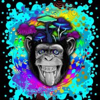 J-Sol (@johnbapsolomon) 's Twitter Profile