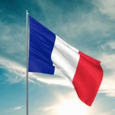 Français et patriote 🇫🇷Pour la sécurité en France